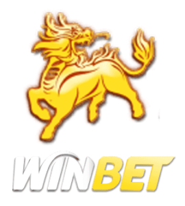 贏家娛樂城的網站速度是否過慢？